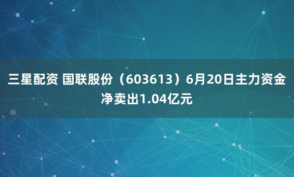 三星配资 国联股份（603613）6月20日主力资金净卖出1.04亿元