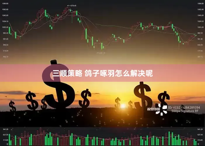三顺策略 鸽子啄羽怎么解决呢