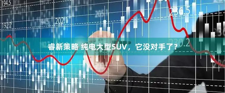 睿新策略 纯电大型SUV，它没对手了？