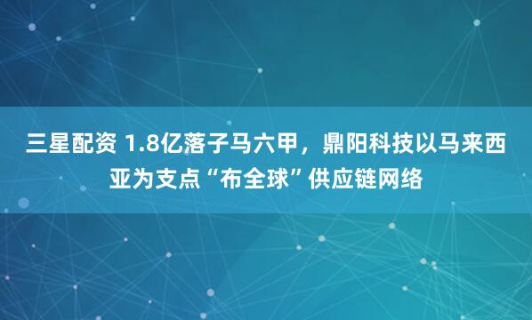 三星配资 1.8亿落子马六甲，鼎阳科技以马来西亚为支点“布全球”供应链网络