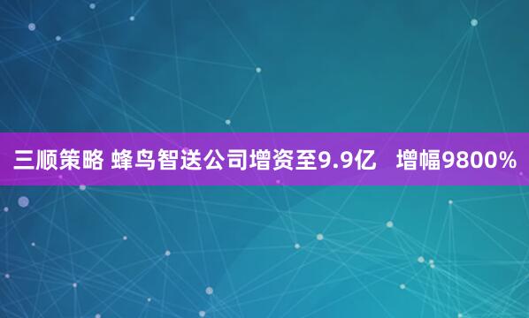 三顺策略 蜂鸟智送公司增资至9.9亿   增幅9800%