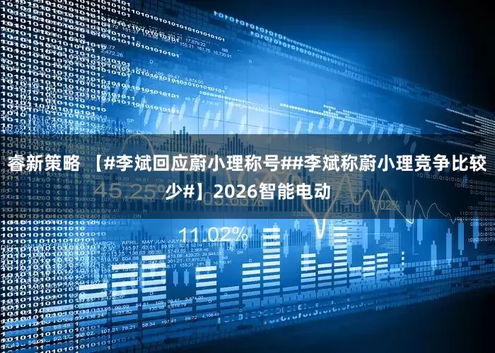 睿新策略 【#李斌回应蔚小理称号##李斌称蔚小理竞争比较少#】2026智能电动